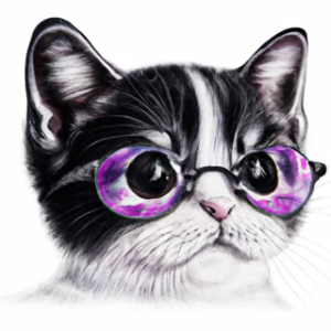 Cat 4