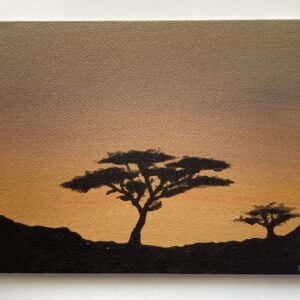 South African Sunset