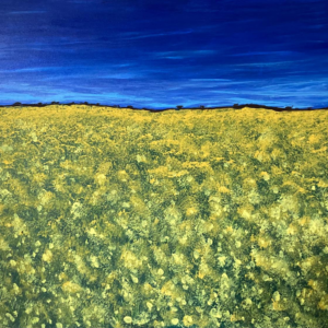 Rapeseed Field 20/04/2024